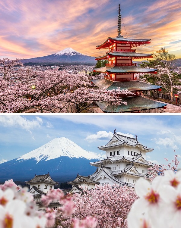 Detalles japoneses - Árbol de cerezo