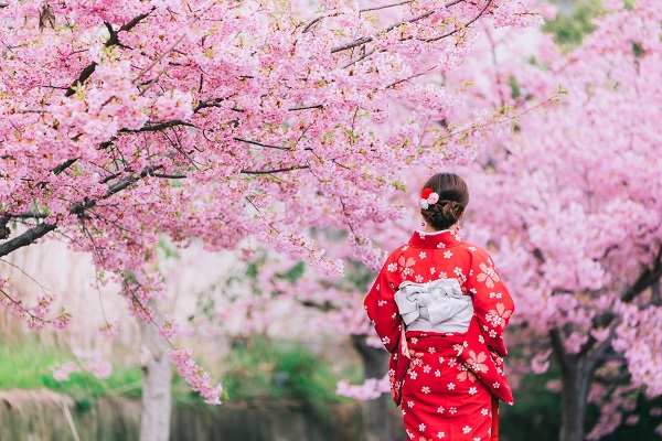 Detalles japoneses - Flores de cerezo